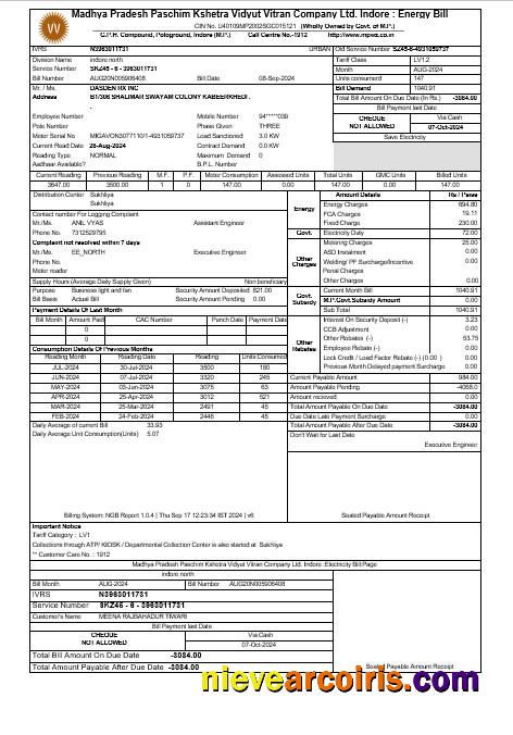 INDIA MPWZ business utility bill